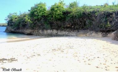 Tanah Dijual Pantai Pink Telone Lombok Timur
