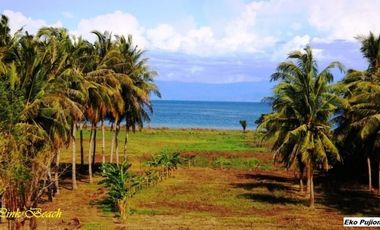 Tanah Dijual Pantai Pink Telone Lombok Timur