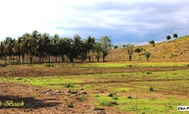 Tanah Dijual Pantai Pink Telone Lombok Timur