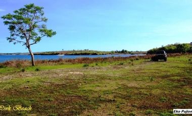 Tanah Dijual Pantai Pink Telone Lombok Timur