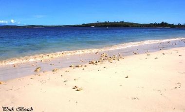 Tanah Dijual Pantai Pink Telone Lombok Timur