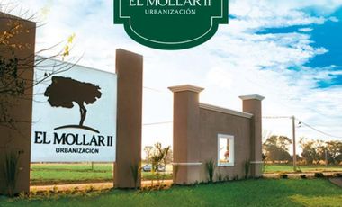 LOTE DE 1000 m2 EN EL MOLLAR II