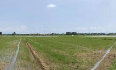 Vacant Lot for Sale in Calumpit, Bulacan