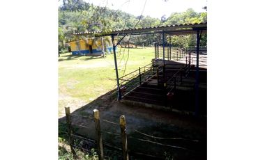 VENDO 96 HECTAREAS IDEAL PARA LA GANADERIA EN PONUGA
