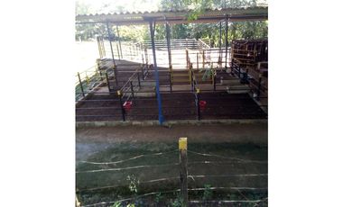 VENDO 96 HECTAREAS IDEAL PARA LA GANADERIA EN PONUGA