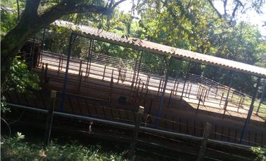 VENDO 96 HECTAREAS IDEAL PARA LA GANADERIA EN PONUGA