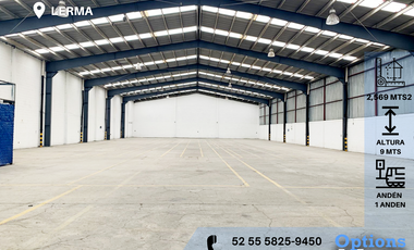 Industrial warehouse for rent, Lerma