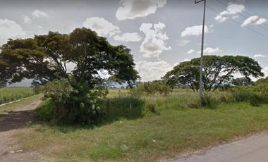 lote en venta en palmaseca-zona franca. Cod V8985