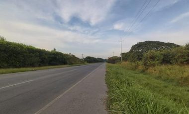 lote en venta en palmaseca-zona franca. Cod V8985