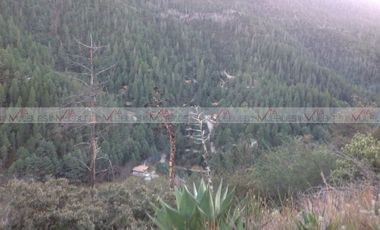 Venta Terreno Residencial Arteaga, Bosques De Monterreal En Arteaga