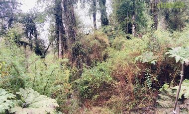 Parcela en Venta en Río Blanco, km 34 camino a Ensenada