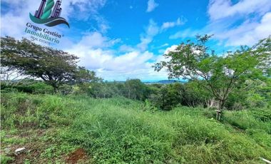 VENDO UNA HECTAREA CON VISTA AL HORIZONTE PALMIRA