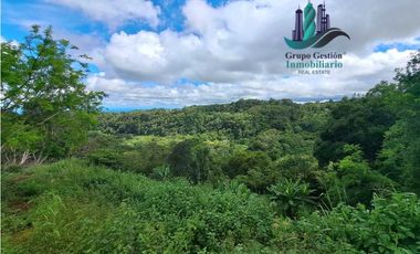 VENDO UNA HECTAREA CON VISTA AL HORIZONTE PALMIRA