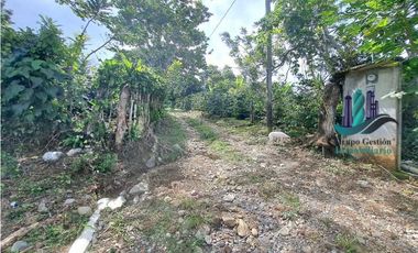VENDO UNA HECTAREA CON VISTA AL HORIZONTE PALMIRA