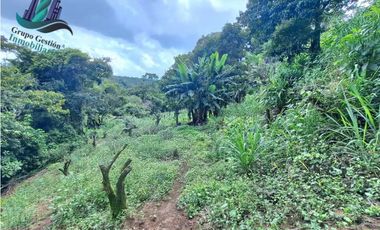 VENDO UNA HECTAREA CON VISTA AL HORIZONTE PALMIRA