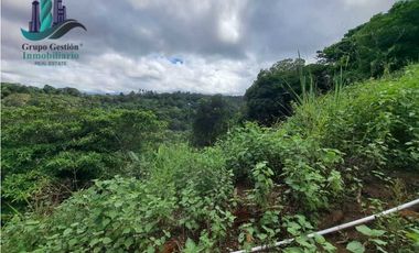 VENDO UNA HECTAREA CON VISTA AL HORIZONTE PALMIRA