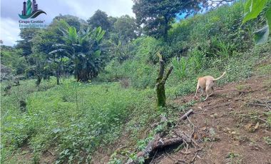 VENDO UNA HECTAREA CON VISTA AL HORIZONTE PALMIRA