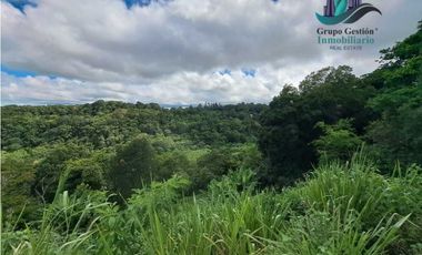 VENDO UNA HECTAREA CON VISTA AL HORIZONTE PALMIRA