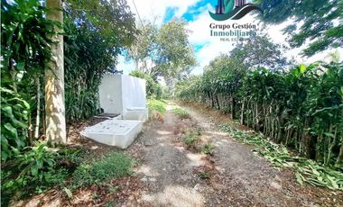 VENDO UNA HECTAREA CON VISTA AL HORIZONTE PALMIRA