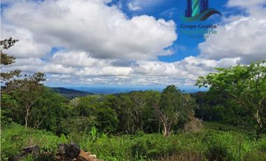 VENDO UNA HECTAREA CON VISTA AL HORIZONTE PALMIRA