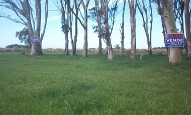 ULTIMA RESERVA URBANA EN EL BALNEARIO