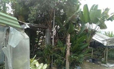 Tanah Luas View Bagus Cihanjuang Parongpong Bandung Barat