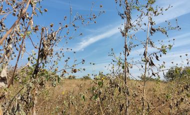 Terreno de 22,000 mtrs cuadrados sobre la carretera a San Juan texcalpan