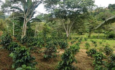 finca en venta en silvania. Cod V3799