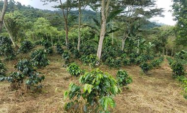 finca en venta en silvania. Cod V3799