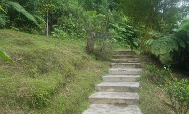 finca en venta en silvania. Cod V3799