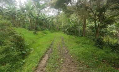 finca en venta en silvania. Cod V3799