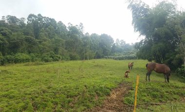 finca en venta en silvania. Cod V3799