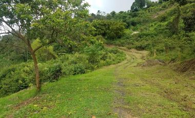 finca en venta en silvania. Cod V3799