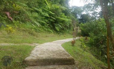 finca en venta en silvania. Cod V3799