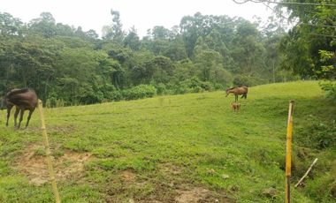 finca en venta en silvania. Cod V3799