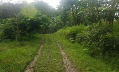 finca en venta en silvania. Cod V3799