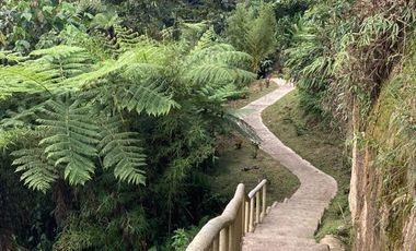 finca en venta en silvania. Cod V3799