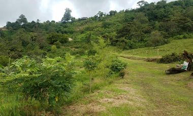 finca en venta en silvania. Cod V3799