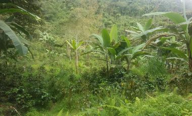 finca en venta en silvania. Cod V3799