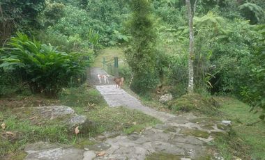 finca en venta en silvania. Cod V3799