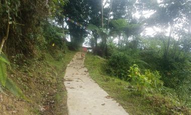 finca en venta en silvania. Cod V3799