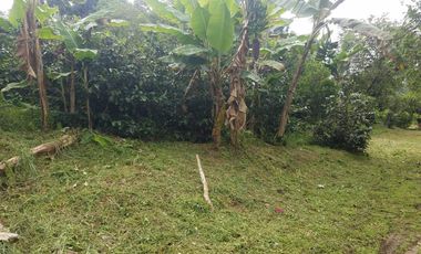 finca en venta en silvania. Cod V3799