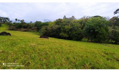 VENTA LOTE TARSO, SUROESTE ANTIOQUEÑO