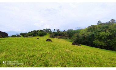 VENTA LOTE TARSO, SUROESTE ANTIOQUEÑO