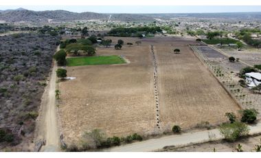 Se vende Quinta productiva sector los Bajos de Montecristi 10 has