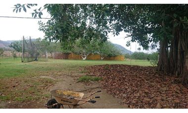 Se vende Quinta productiva sector los Bajos de Montecristi 10 has