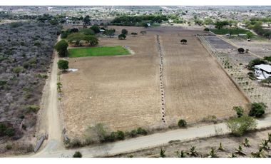 Se vende Quinta productiva sector los Bajos de Montecristi 10 has