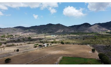 Se vende Quinta productiva sector los Bajos de Montecristi 10 has