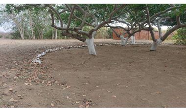 Se vende Quinta productiva sector los Bajos de Montecristi 10 has