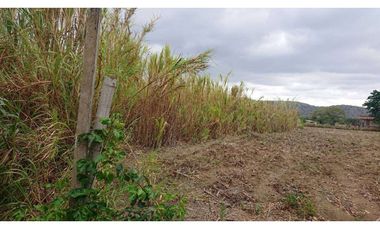Se vende Quinta productiva sector los Bajos de Montecristi 10 has